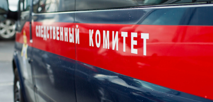 В Москве подростки избили 16-летнюю девушку