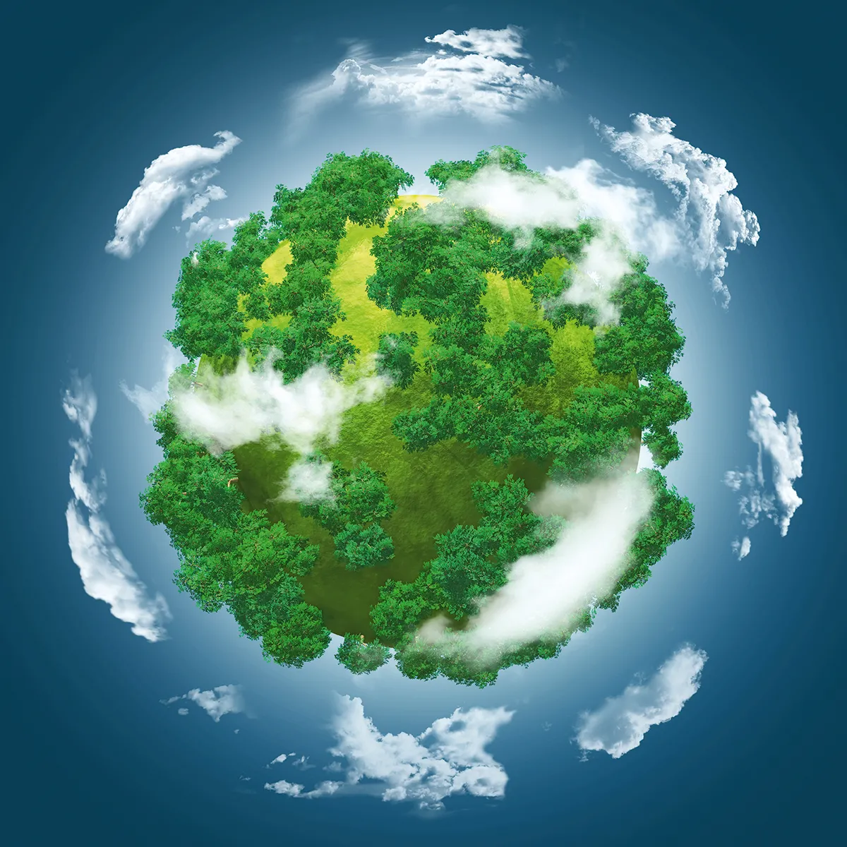 От исследований и инициатив к практике