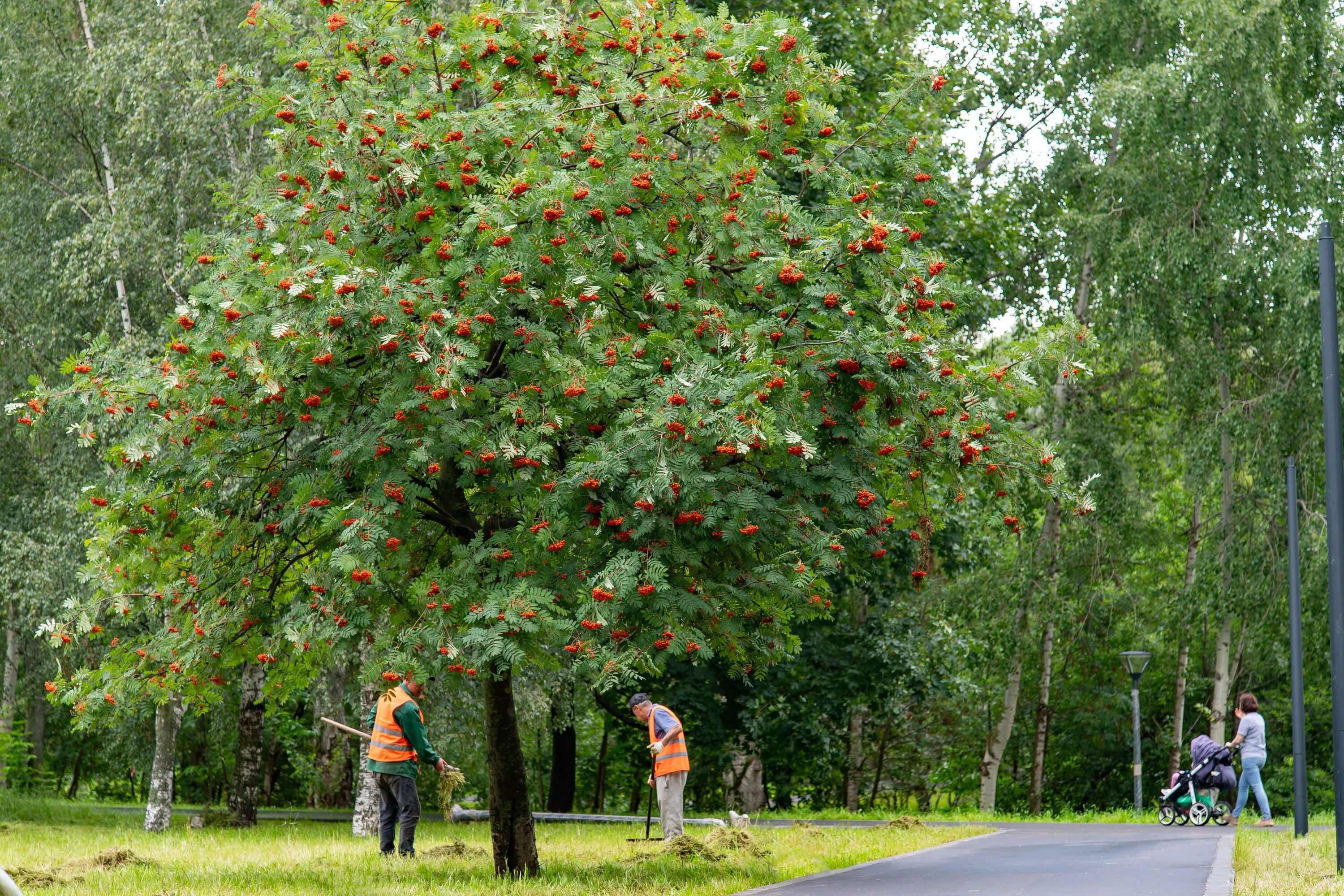 Парк «Яуза» - территория со множеством активностей