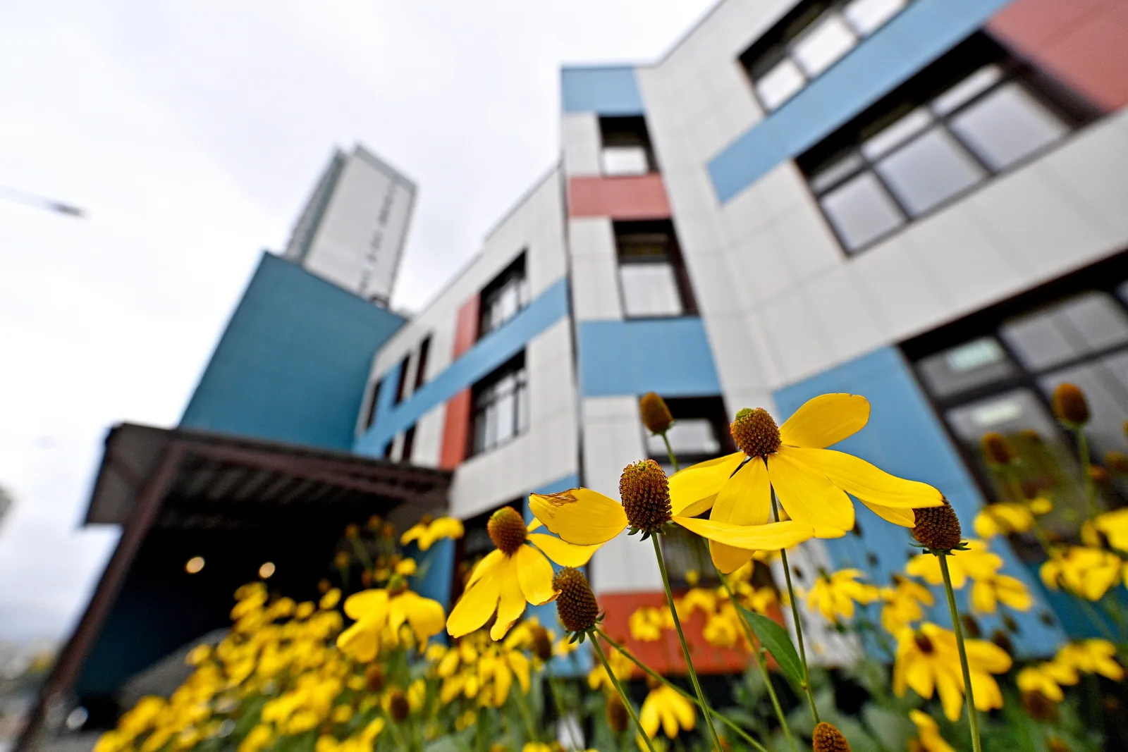 У нас большие планы