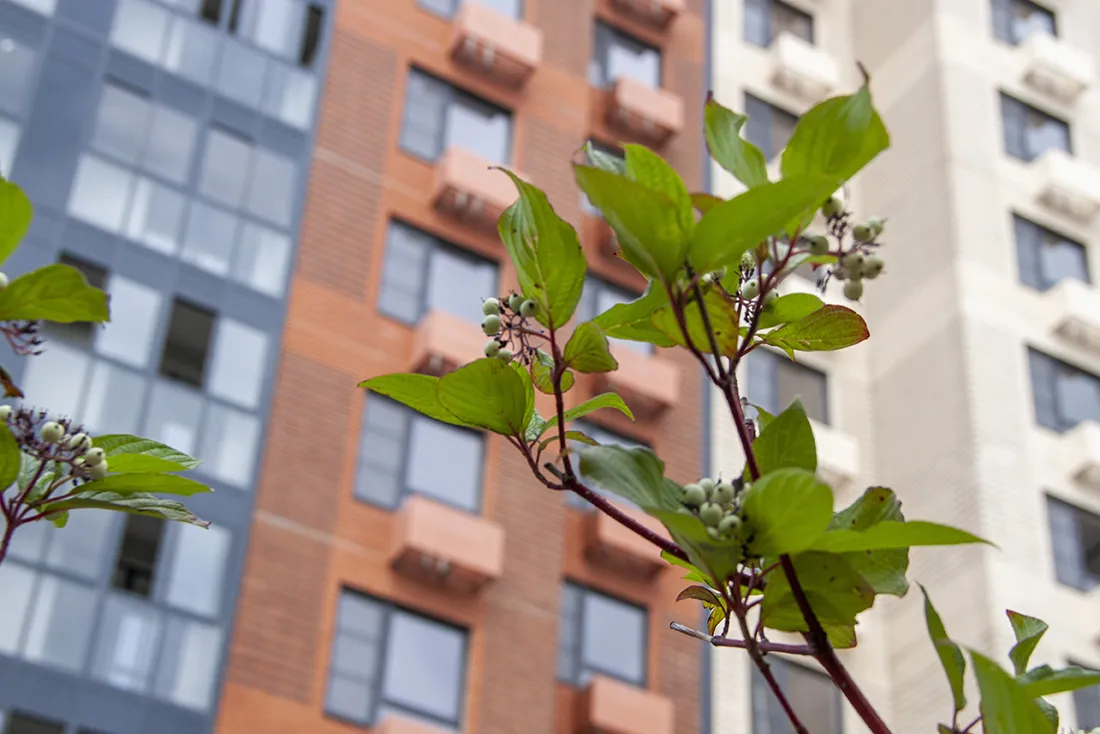 Новая квартира – это к счастью