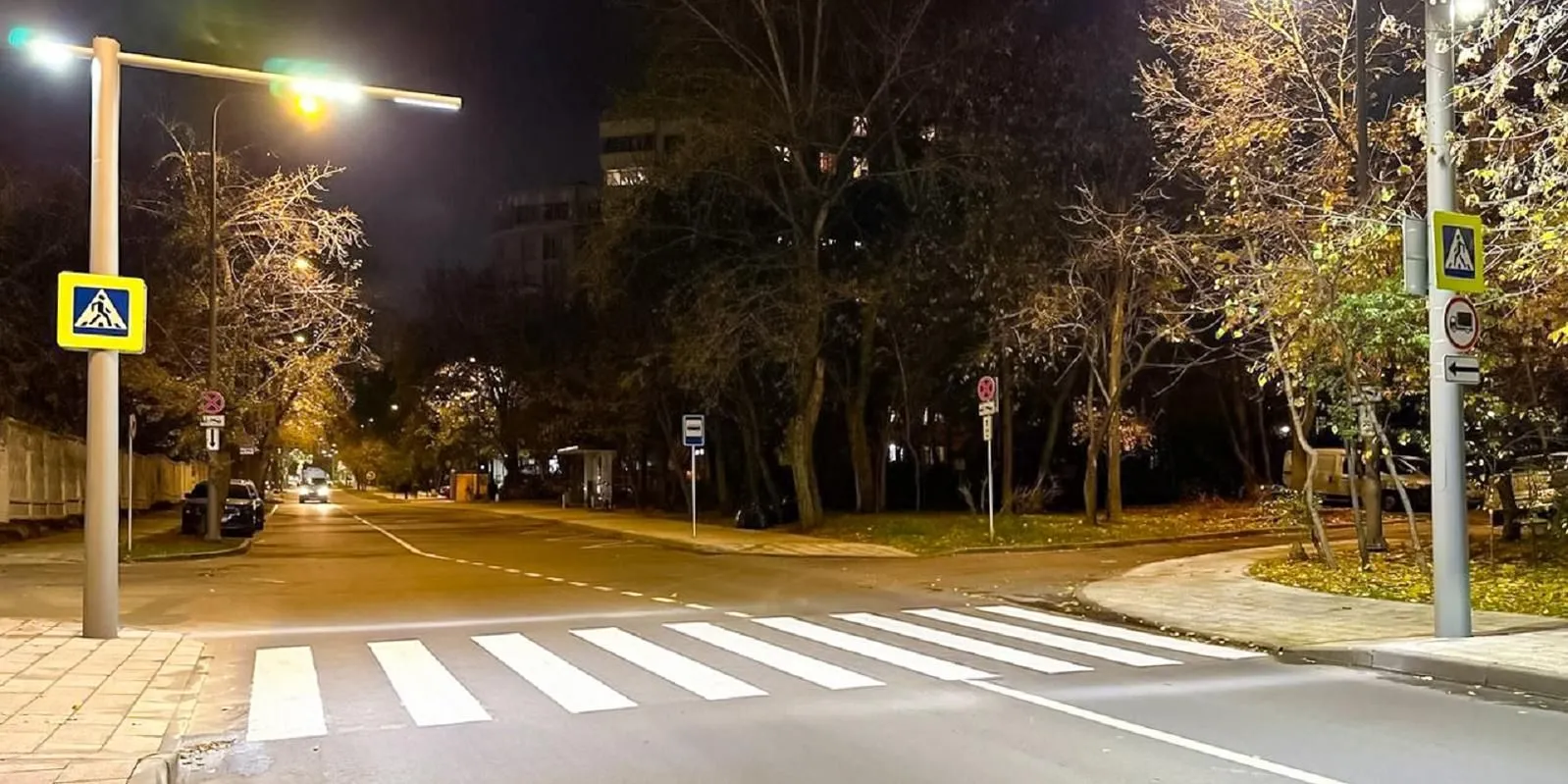 Свыше ста пешеходных переходов в Москве оснастят контрастной подсветкой 