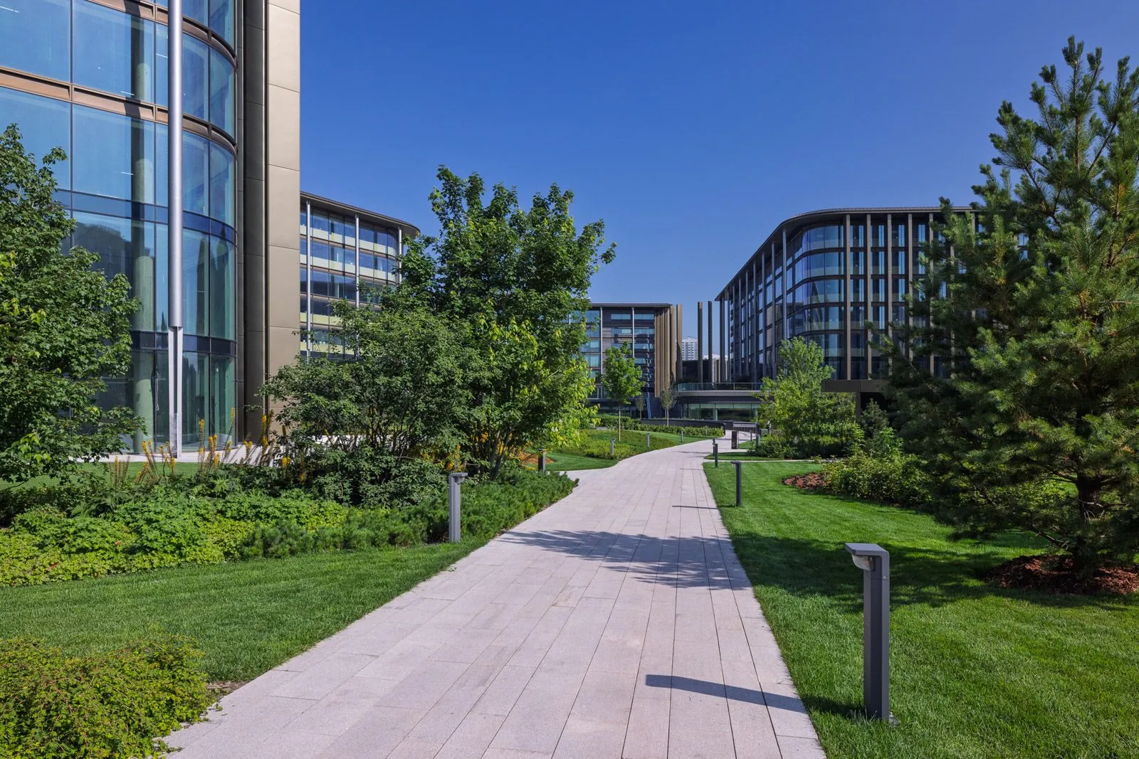 Возле набережной реки Сетуни создали современный ландшафтный парк