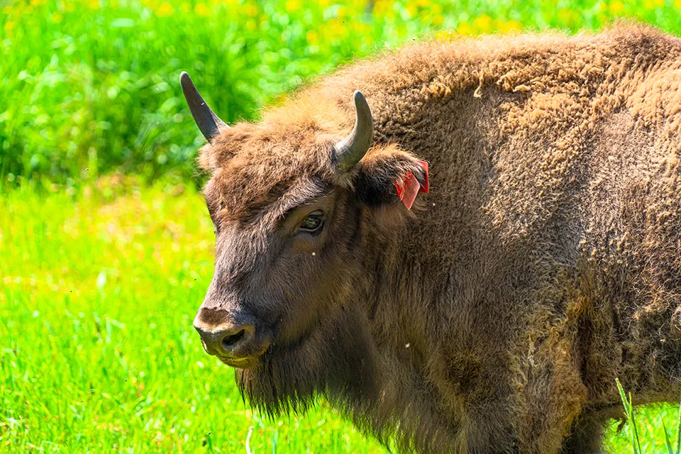 Строители берегут природу  