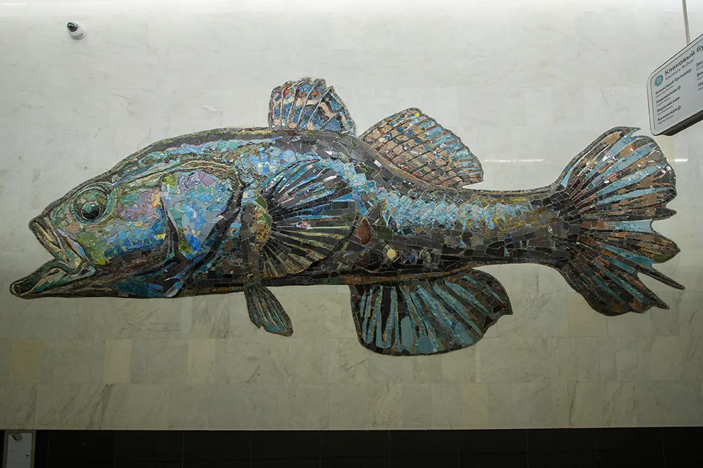 Рыбы с секретом