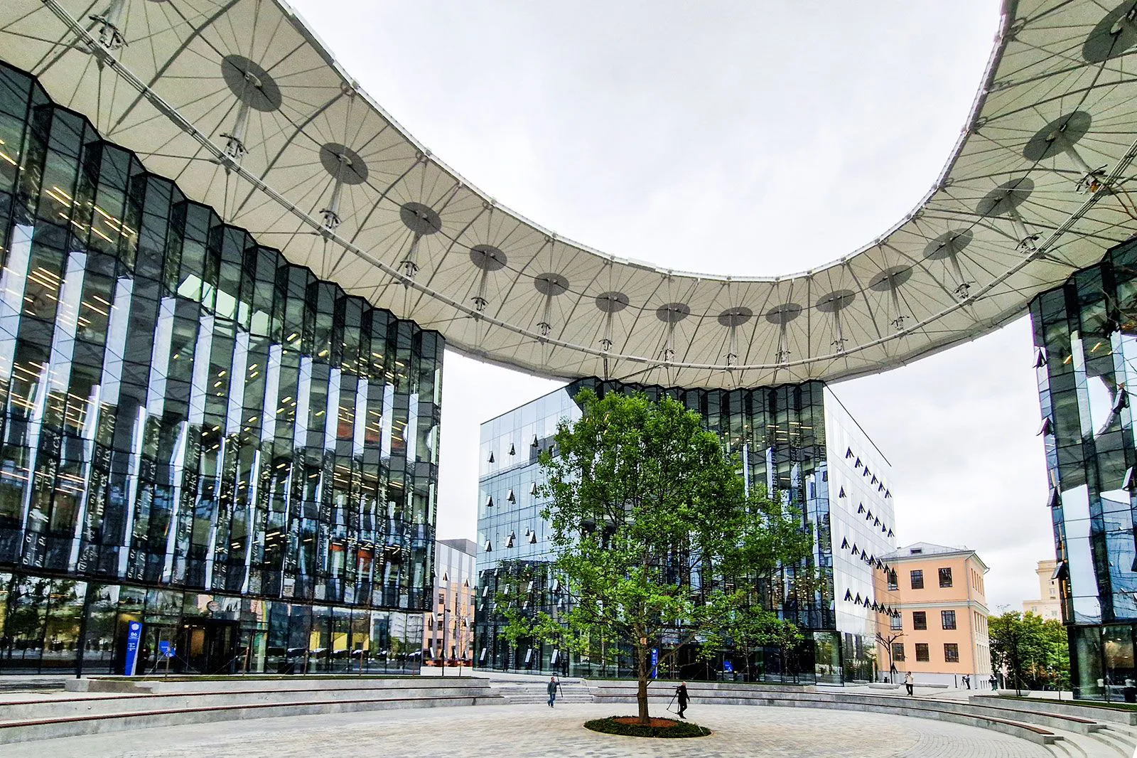 Растить дерево знаний