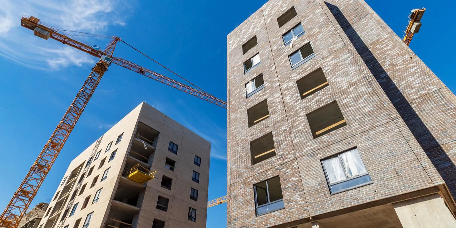 Метаморфозы Теплого стана