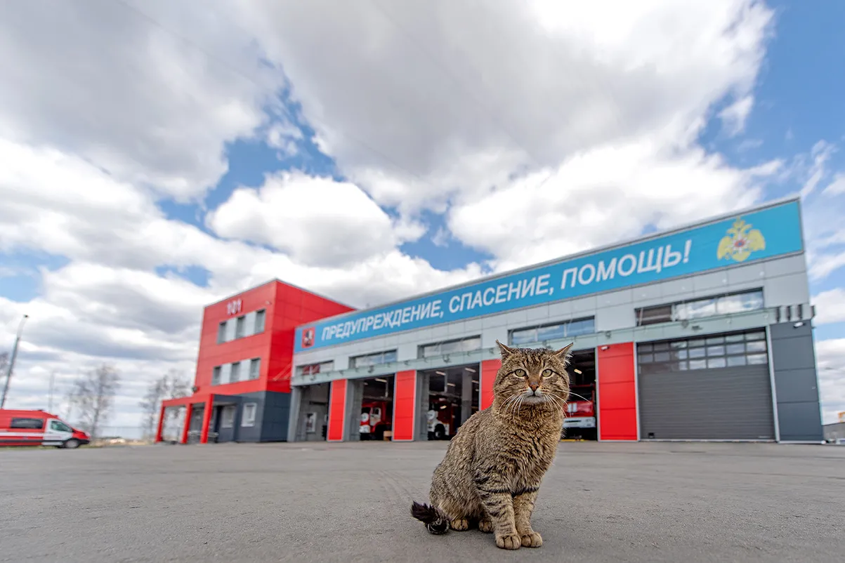 В огне брода нет