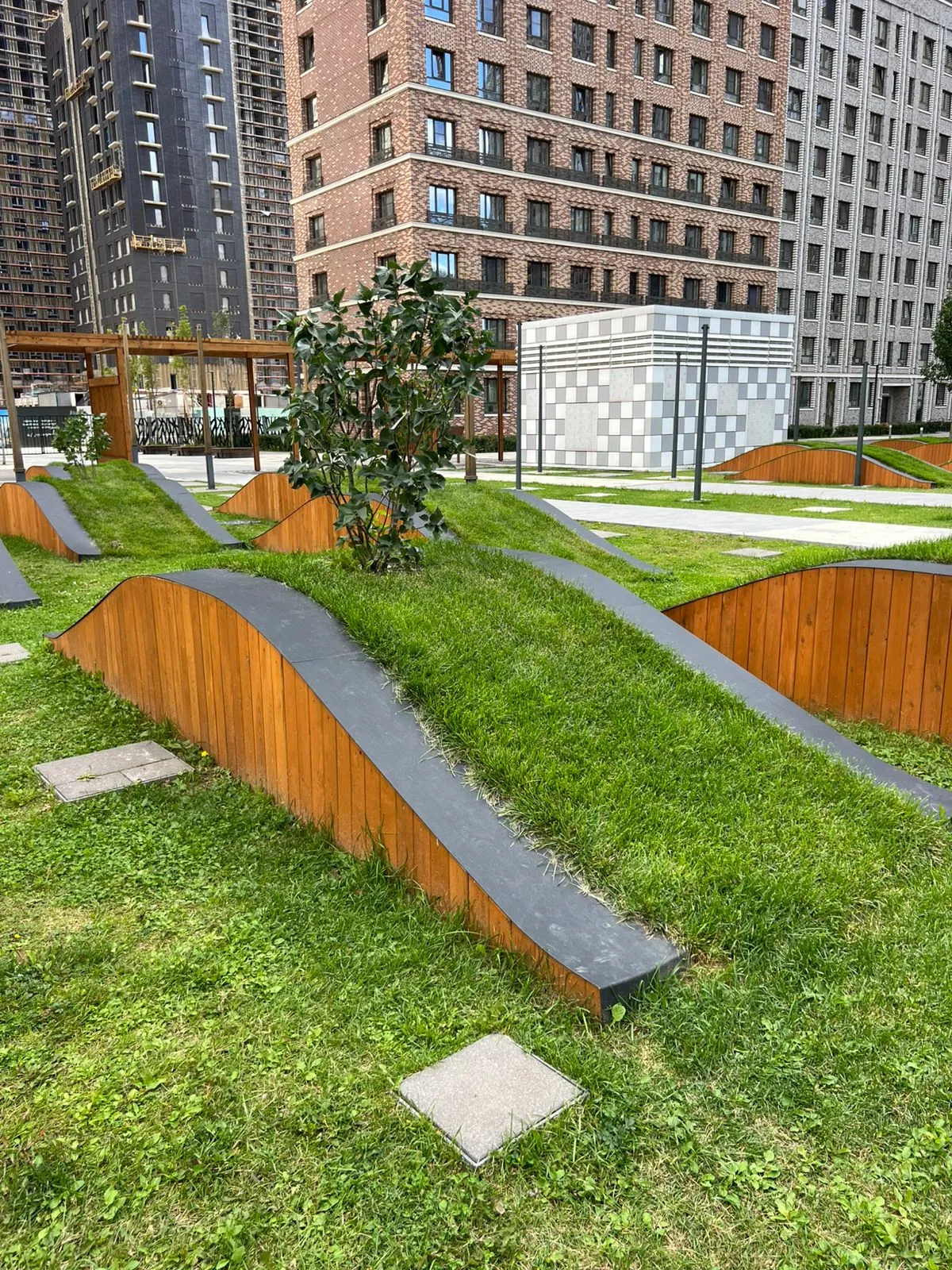 Сад сирени создадут на территории московского жилого комплекса в рамках акции «Дерево добра»