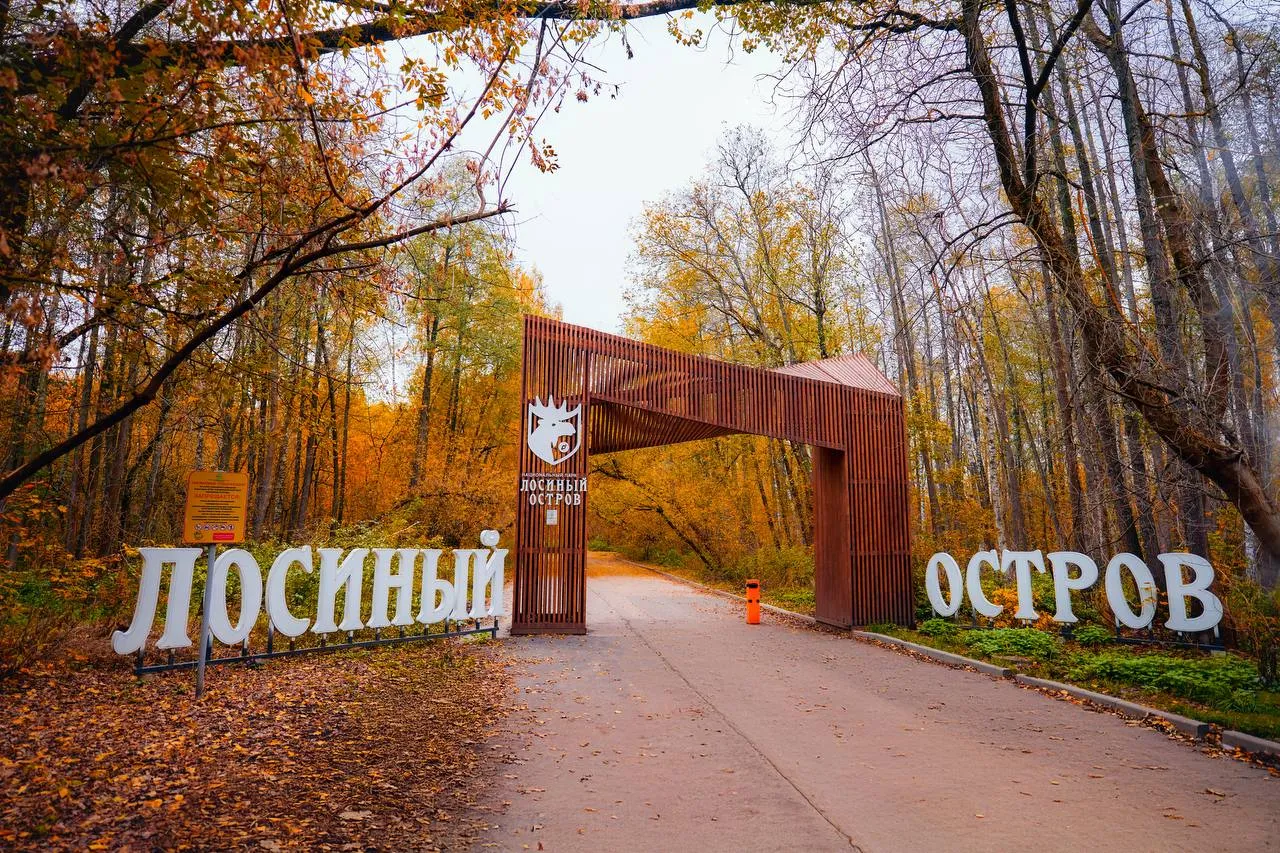 Экологический фестиваль на Лосином Острове объединит природу и музыку