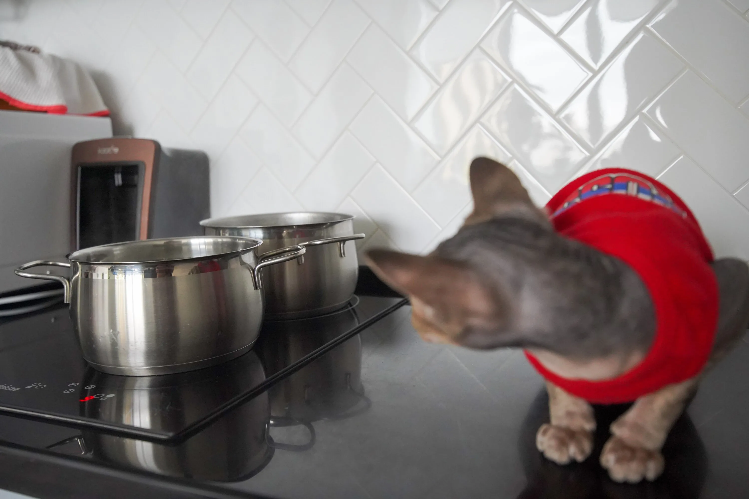 Ледяной удар по комфорту 