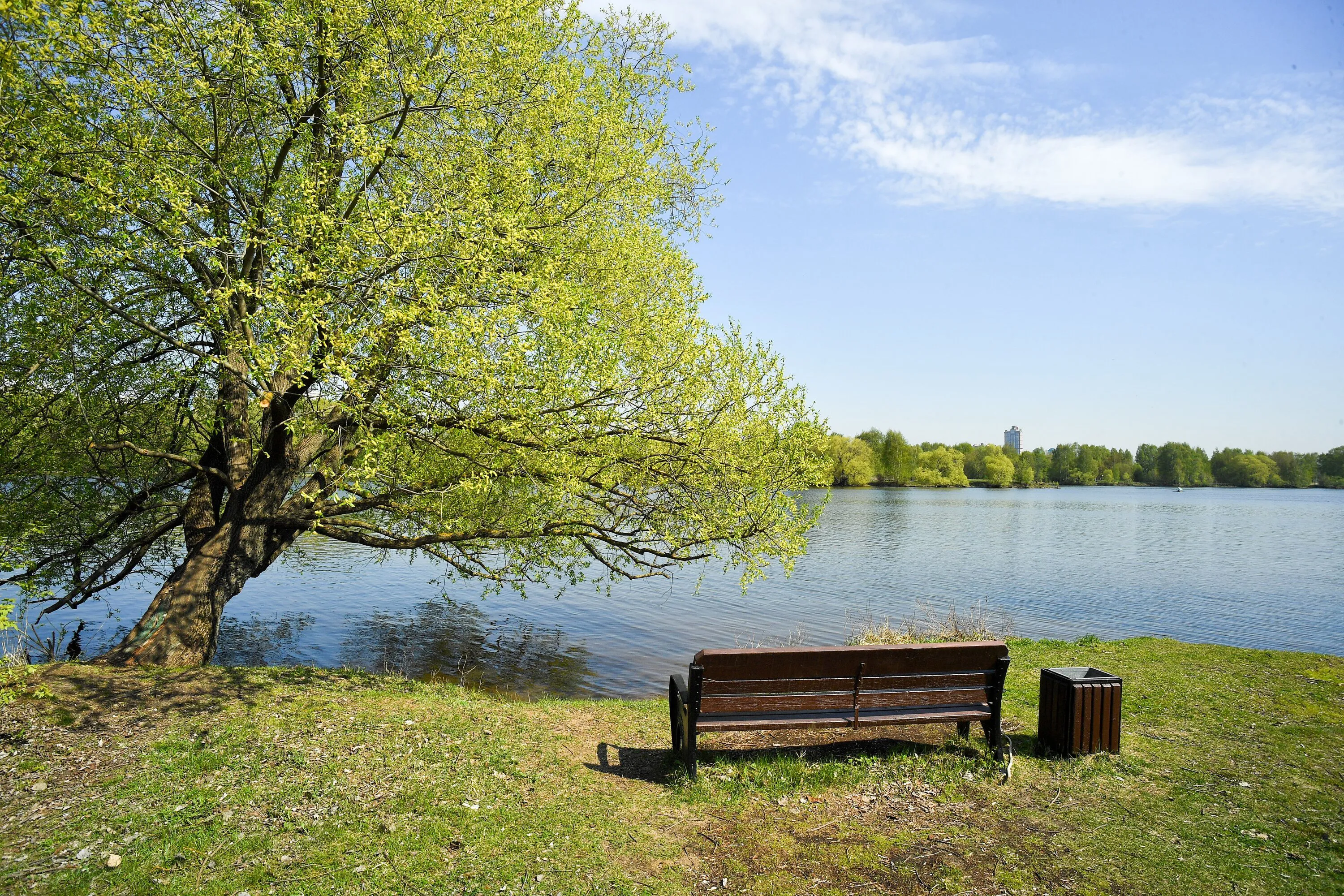 В каких зонах отдыха на городских водоемах Роспотребнадзор разрешил купание