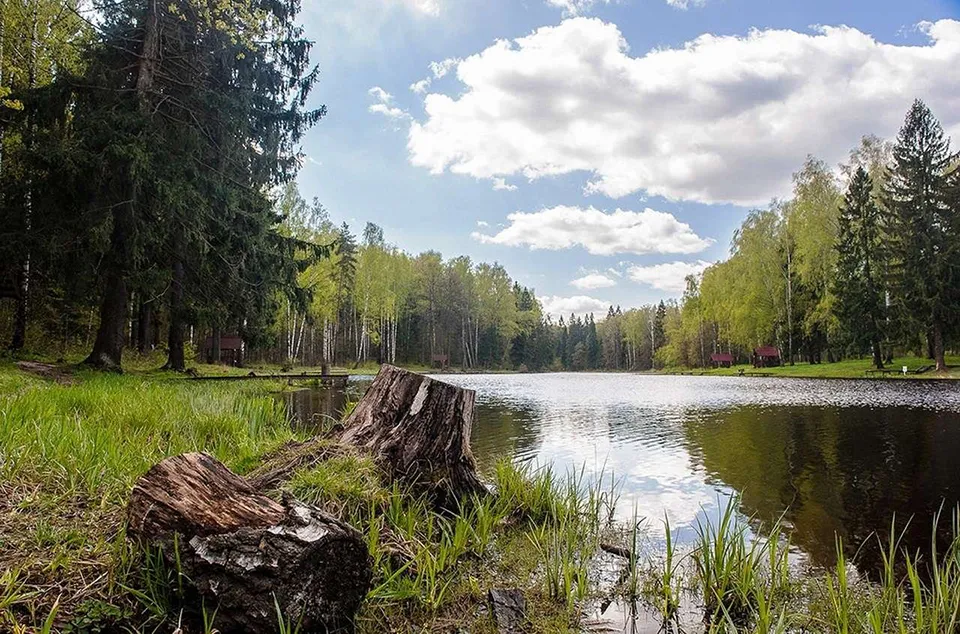 Часть национального парка «Лосиный Остров» передана в управление столице