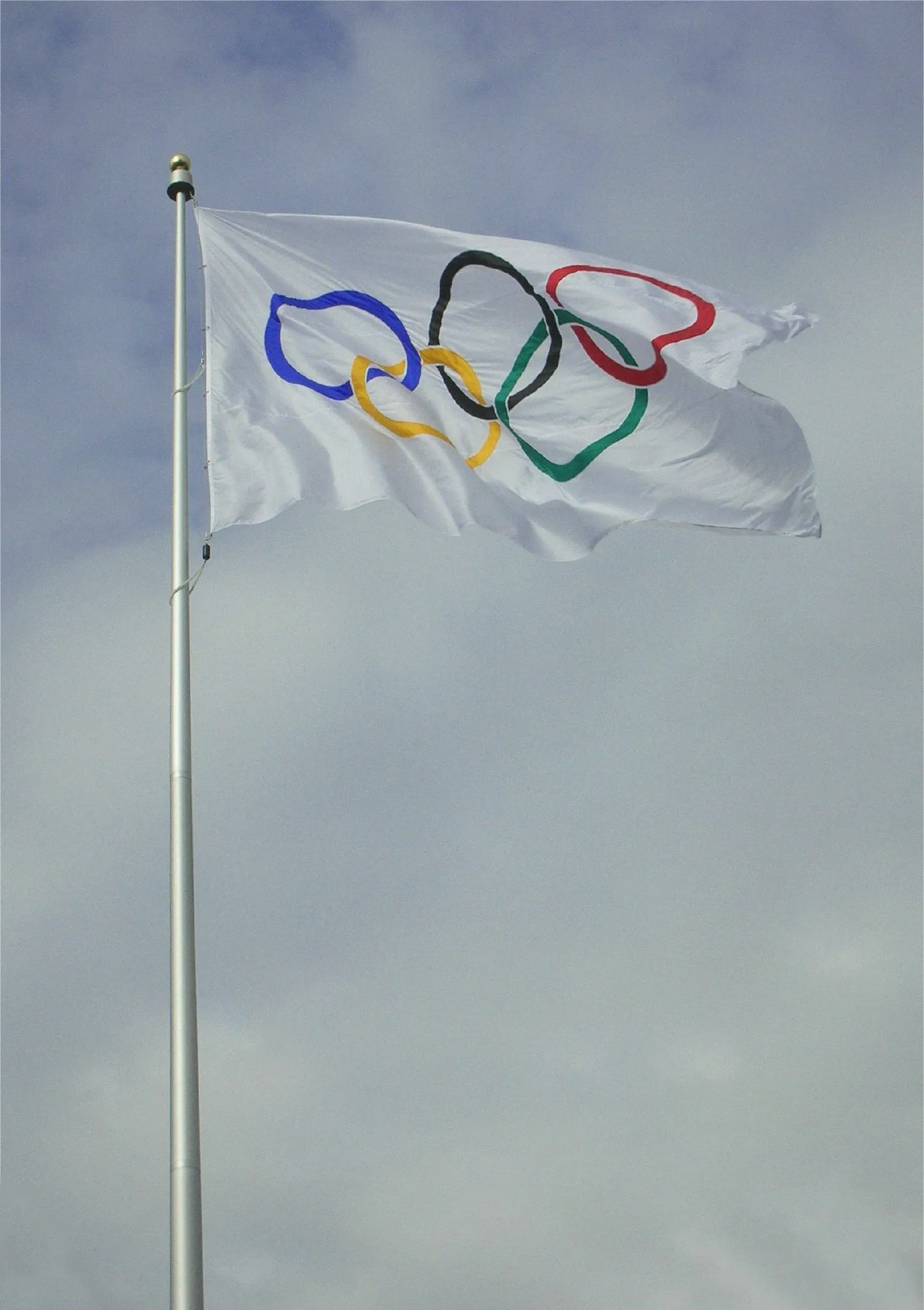 Сделал что МОК