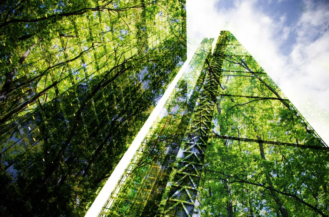 Изучаем актуальные тенденции в «зеленом» строительстве