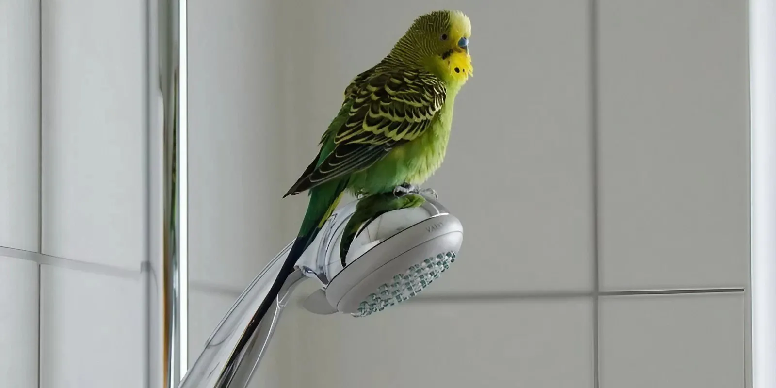 Программа реновации помогает всем и каждому