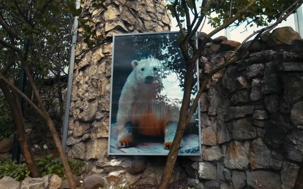 191124-14.jpg 191124-14.jpg