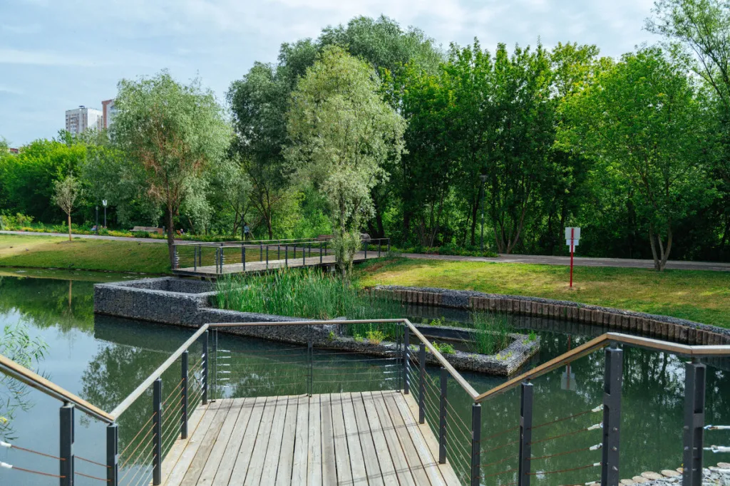 2024-09-26 09-14-58.jpeg