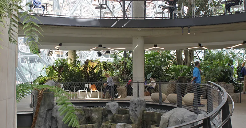 Inside_the_Amazon_Spheres.jpg