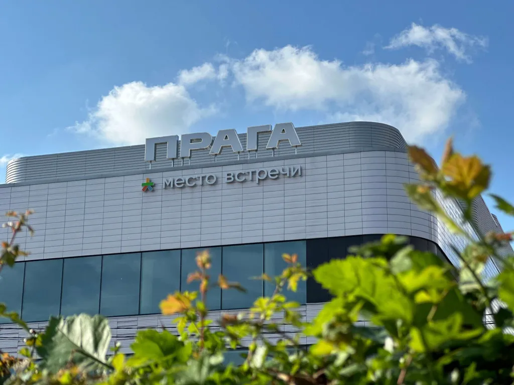 photo_2024-08-15 11.42.12.jpeg