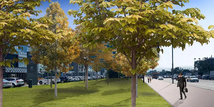 На трёх вылетных магистралях Москвы высадят около трёх тысяч взрослых деревьев