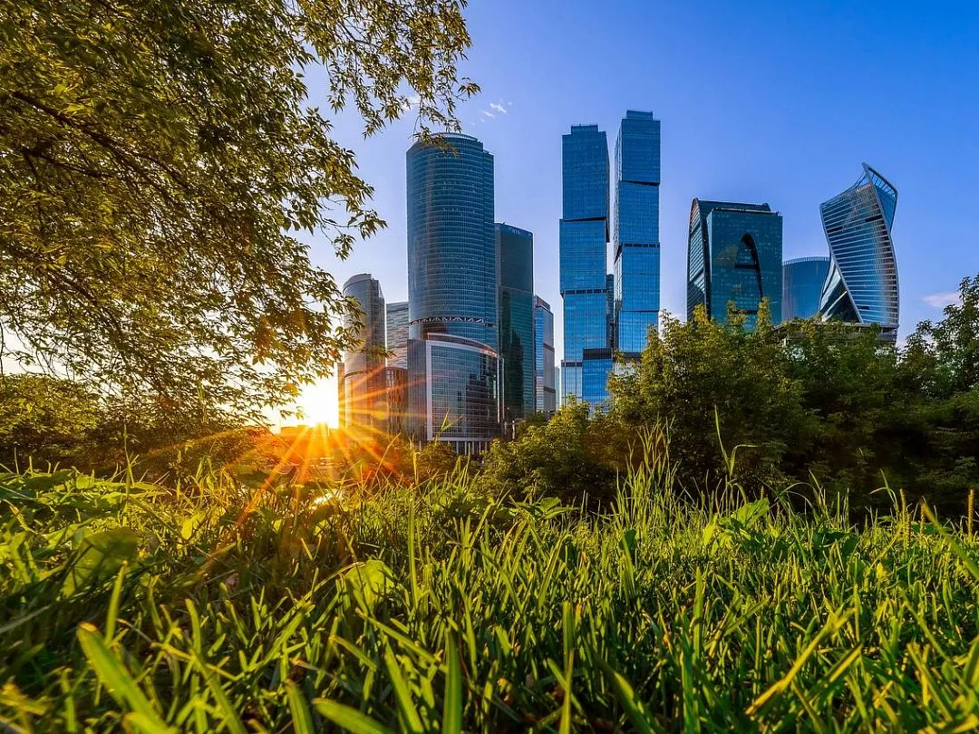 «Висячий парк» появится на крыше одной из башен «Москва-Сити»