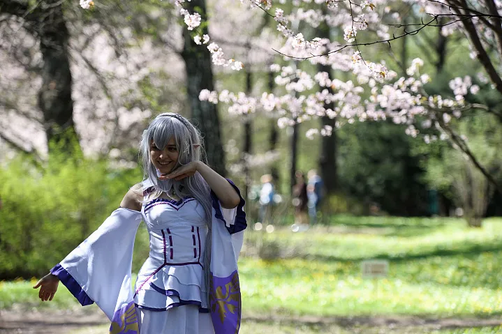 В Японском саду начали предварительную продажу билетов  на сезон цветения. Ожидается ажиотаж 