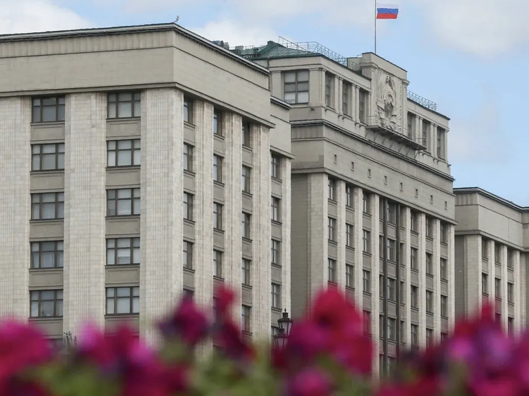 Кандидаты в Госдуму задекларировали почти 4,4 тыс. гектаров земли