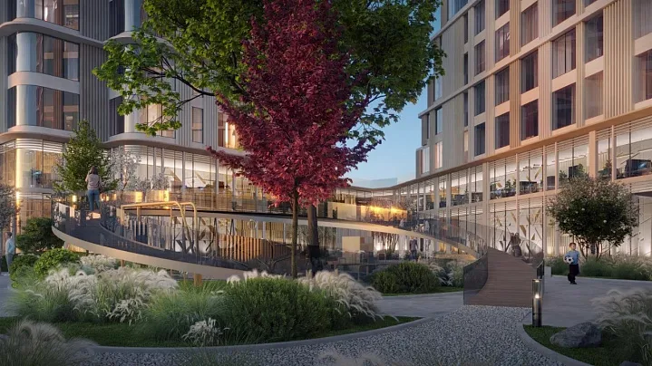 Зеленый двор вне сезонов: 72% россиян хотят видеть вечнозеленые растения у дома