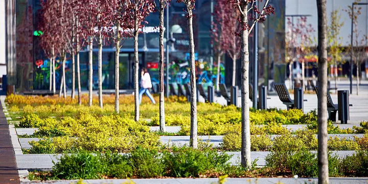 Новая зона отдыха появится в сквере на пересечении проспектов Вернадского и Университетского 