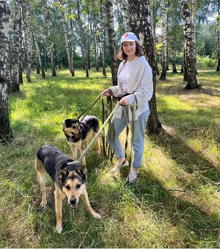 Построить дом и не только