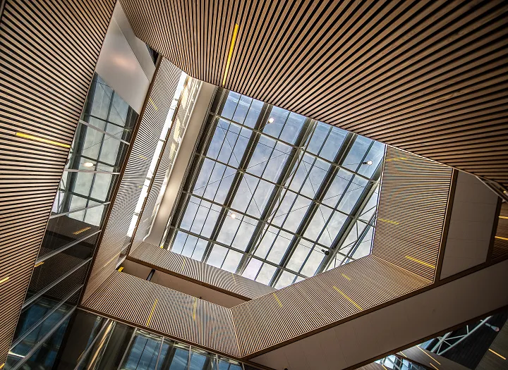 Чертеж или идея: как учат архитекторов в России и Европе