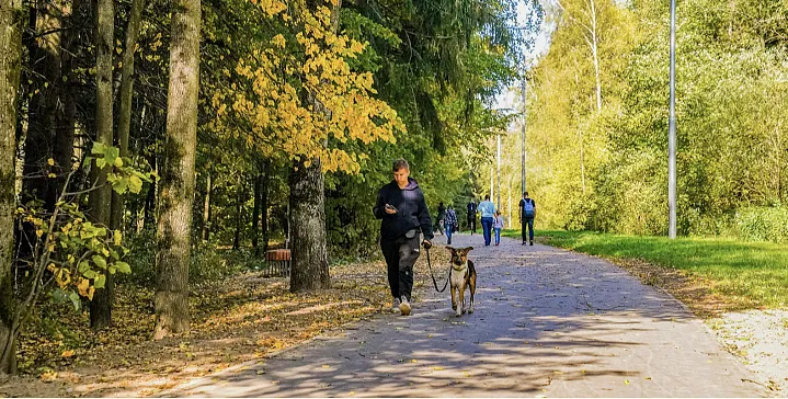 Сергей Собянин рассказал о благоустройстве в Зеленограде 