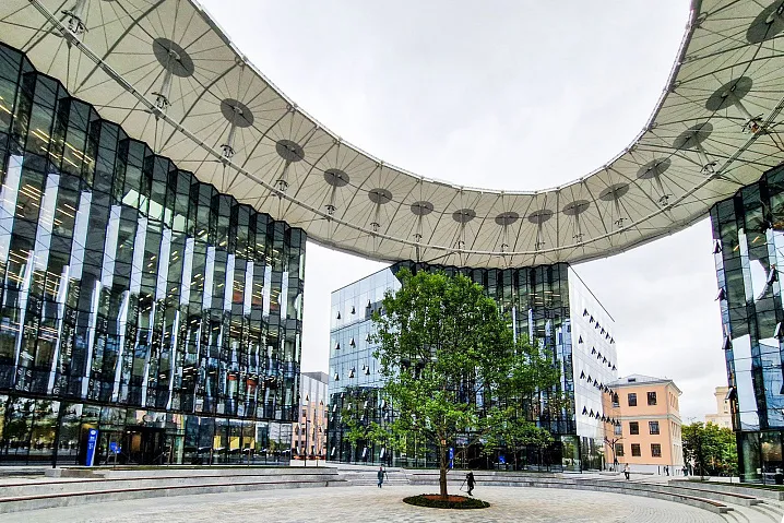 Растить дерево знаний