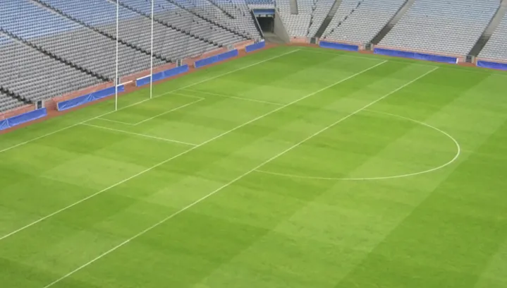 В Москве построят многофункциональный комплекс с регбийным стадионом