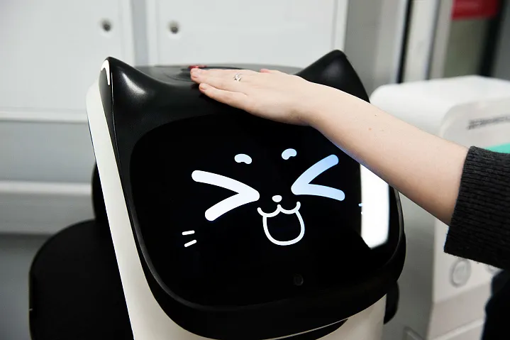 В столичных клиниках медперсоналу и пациентам помогают необычные ассистенты – робокошки