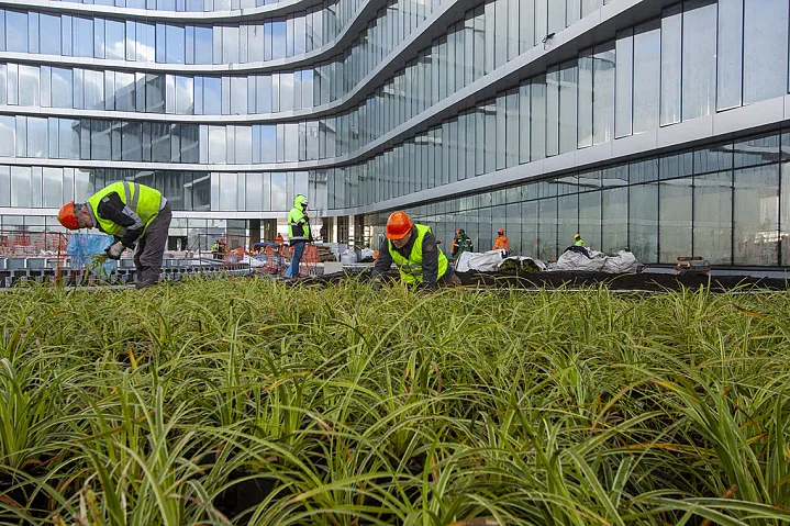 ESG и стройка