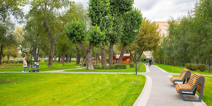 На участке МСД благоустроят 50 гектаров территории