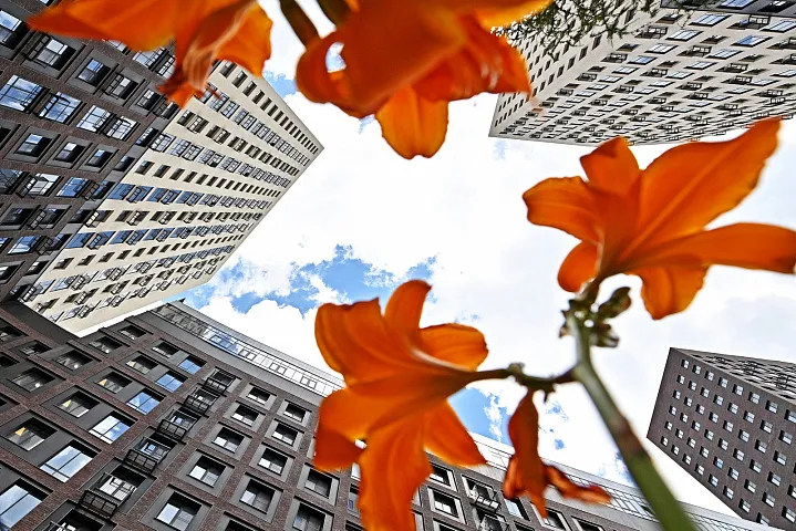 Запад перемен