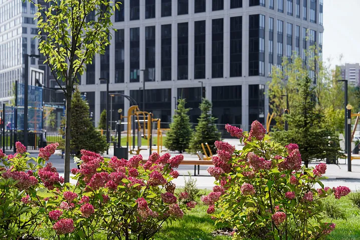 Фиолетово-розовые сады с луговыми и пряными травами разобьют на западе Москвы