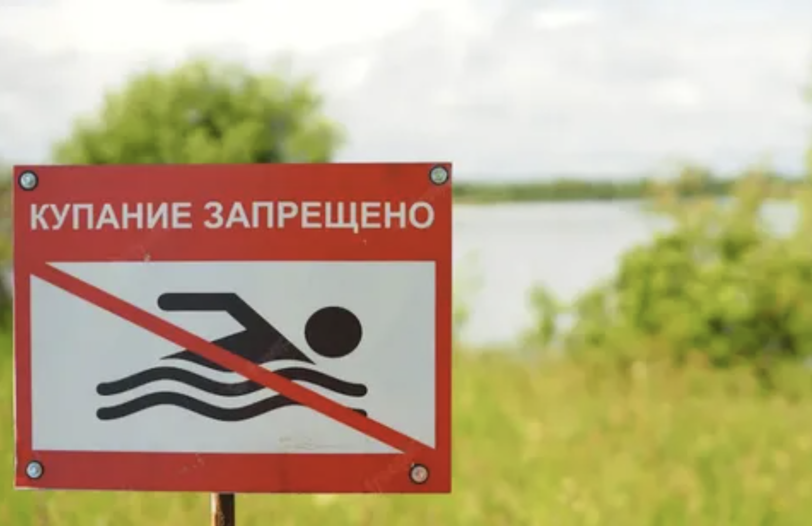Купаться запрещено картинки. Купаться запрещено. Купание запрещено табличка. Таблички о запрете купания. Знак «купаться запрещено».