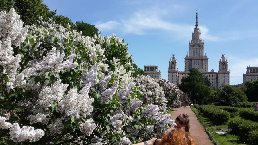 Мгу весной