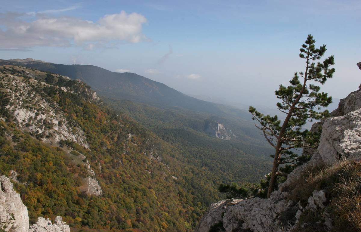 Крым глава 1. Крымский заказник Краснодарского края.