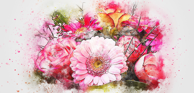 flowers-2444511_1280.jpg
