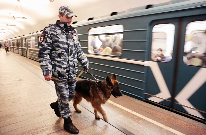 Police_dog_in_Moscow_Metro.jpg