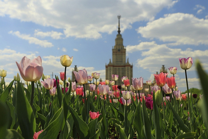 Весна придет в Москву в конце марта
