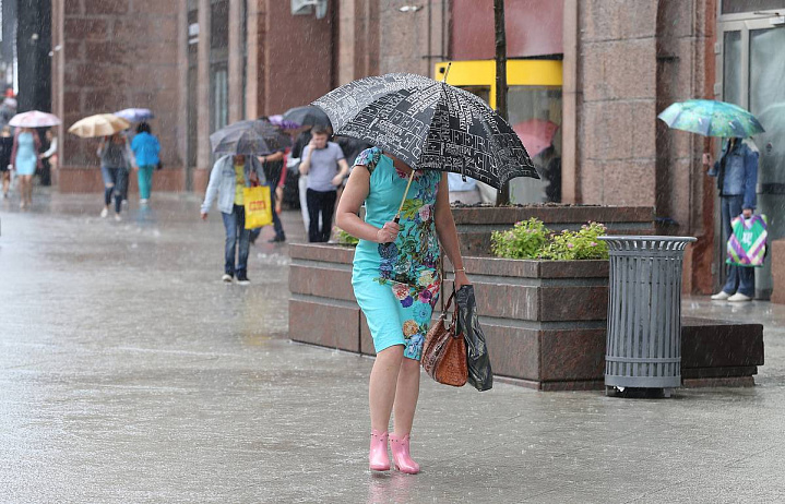 Жителей Подмосковья предупредили о дожде и сильном ветре