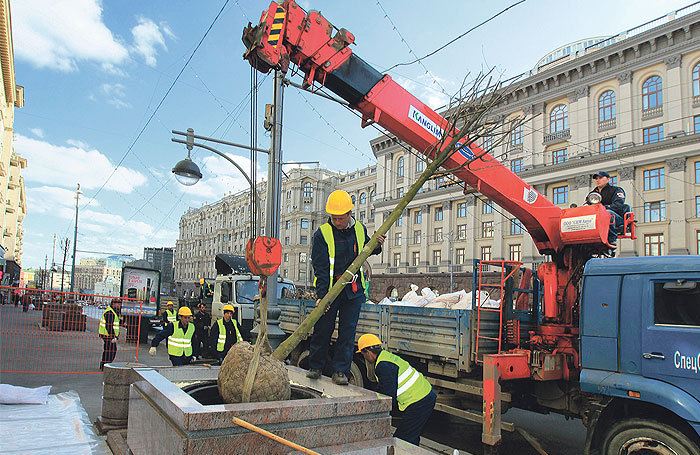 Липовая Тверская