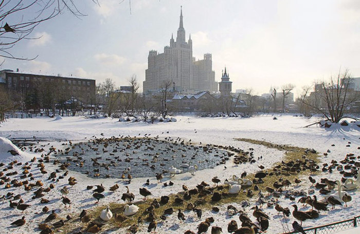 Ферма домашних животных