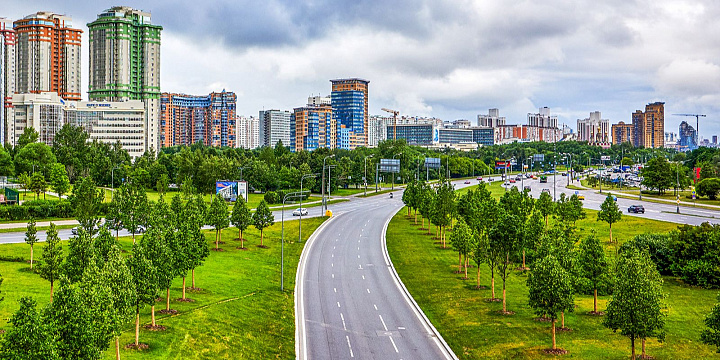 В 2023 году рядом с 12 вылетными магистралями Москвы высадят 4 тысячи деревьев  
